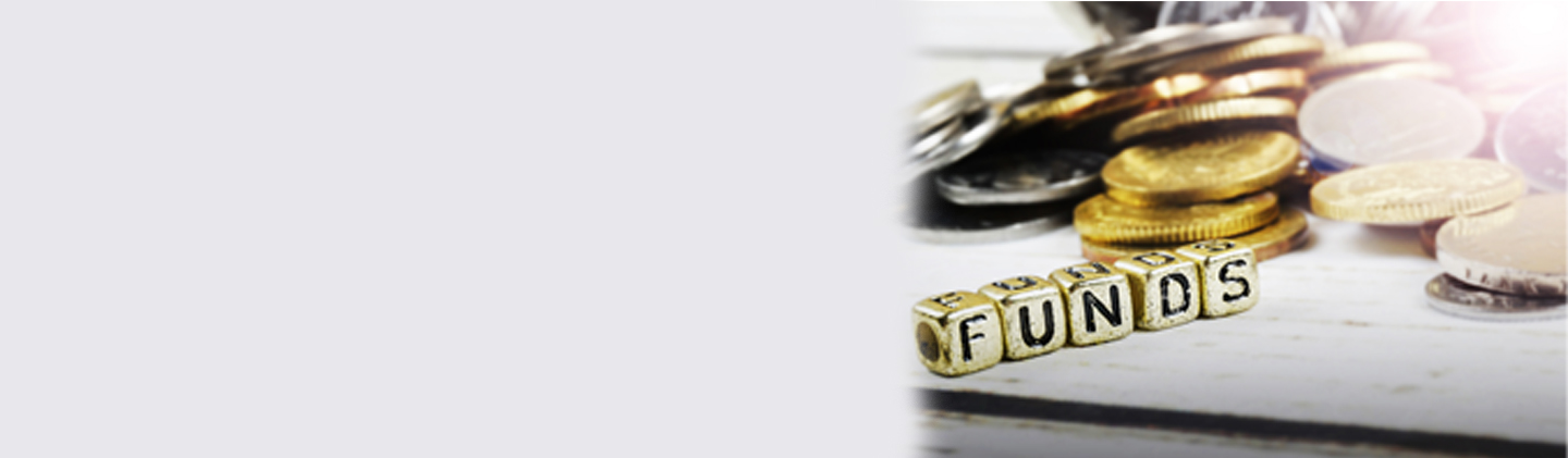 What Are Gilt Funds